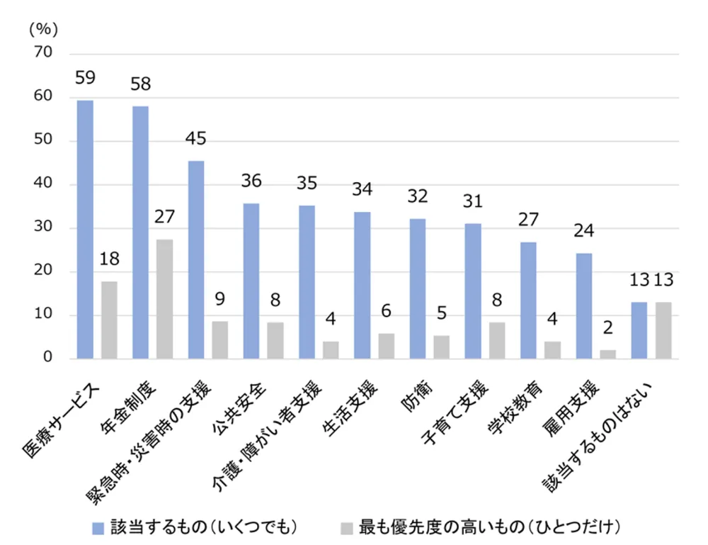 図3-6-3　質や給付を充実させたいと思う公的給付・公共サービス